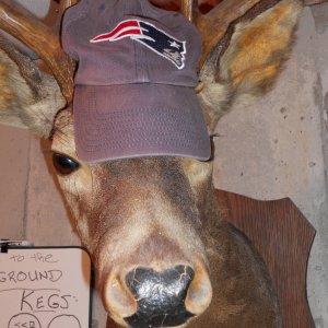 UncleBuck-BreweryMascot