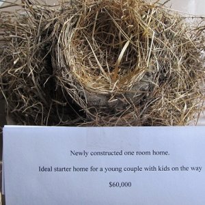 nest