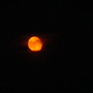 Moon2011Beach