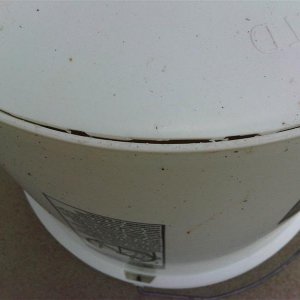 IMG00240-20110816-1817_Medium_