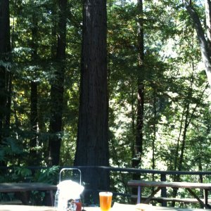 Big_Sur_lunch