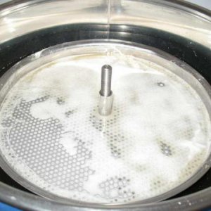 Top filter plate.