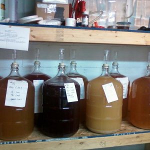 45 Gallons   Nov 2011