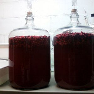 Cranberry in the Secondary
