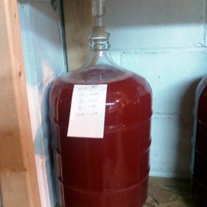 Cranberry Off of Fruit