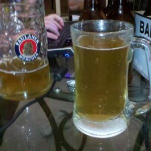 IPA1