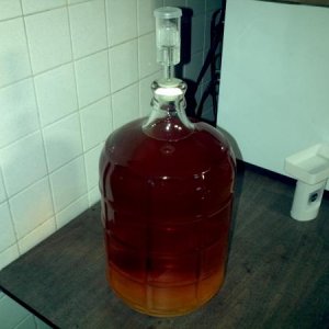 Afpelwine 11/04/11 -First brewing attempt.