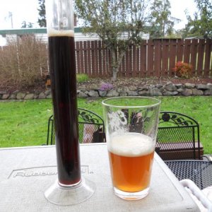 Blk.IPA & Diamond Knot IPA