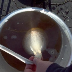 2012 01 07 12 29 48 562