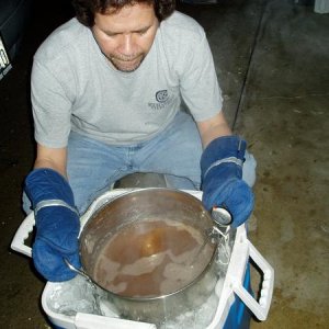 Cooling the wort.