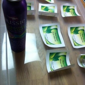 Hairsprayed to protect the ink.
