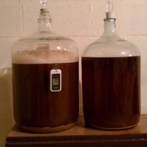 Ferocious IPA Rye Pale Ale