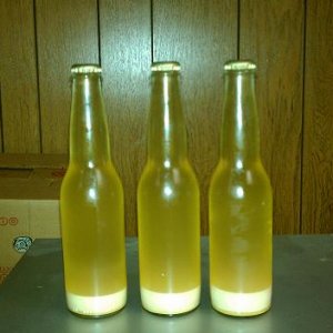 Harvested Yeast