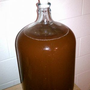 Irish Red Secondary