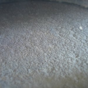 brettinfection