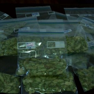 2011Hopharvest