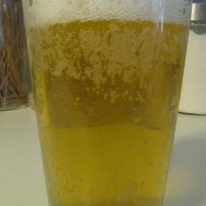 PastaWheatBeer