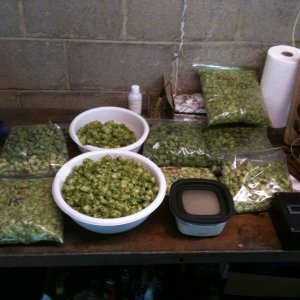 photo_112