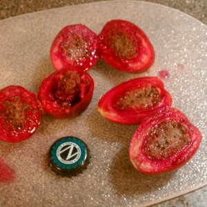 RipePricklyPears