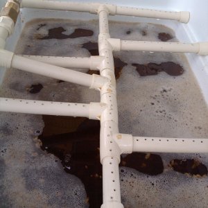 2010-06-20_08_58_41