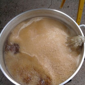 2010-06-20_10_25_12
