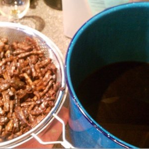 Brewingwithmesquitepods