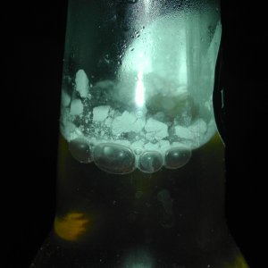 moldybeer1