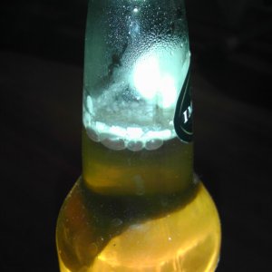 moldybeer2