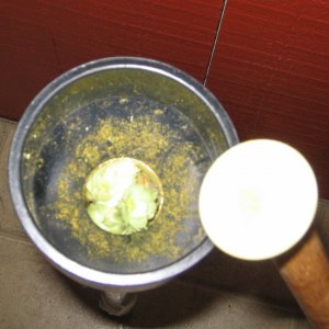 HopTube
