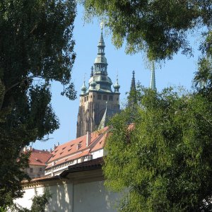 IMG_06021
