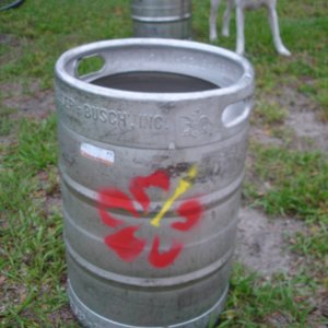 DSC05703