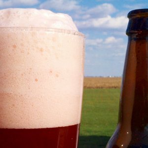 RaspberryCreamAle