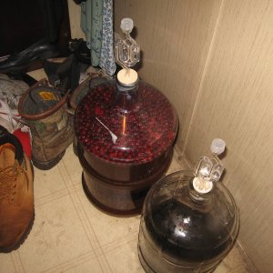 refermentalongsideaChristmasbeer