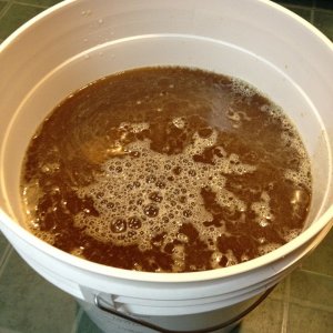1stEverBrew-TrueBrewOktoberfest