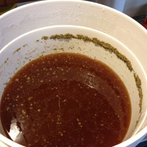 1stEverBrew-TrueBrewOktoberfest