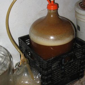 Arrogant_Bastard_Clone_on_07_yeast