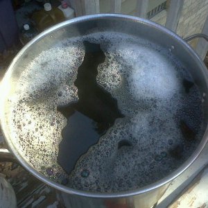 9_gallons_of_WH_wort