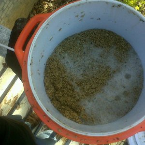 Spent_Grains_WH