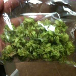 HomegrowninsouthLouisiana