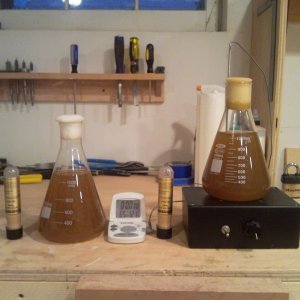 StarterExperiments