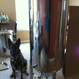 brewing