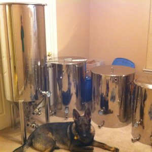 brewing