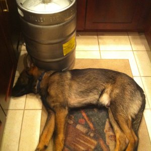 brewing