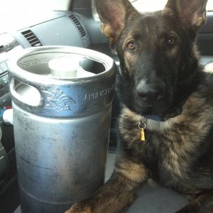 brewing