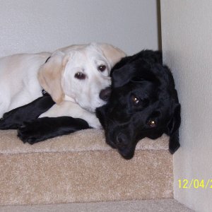 CodyandSarah