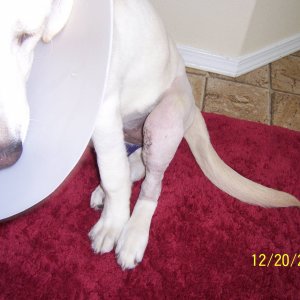 Codyconeandstitches