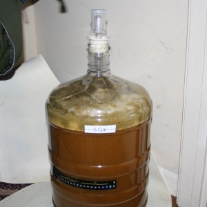 Ferm_Working