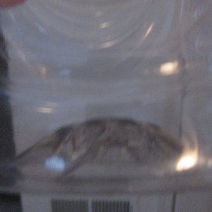 cone2