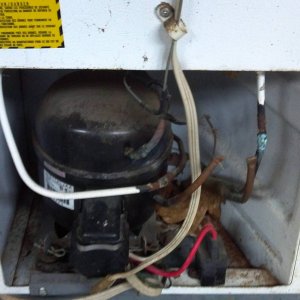 OldHolidayFreezerCompressor