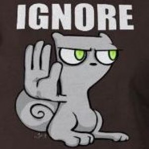 Foamy_Ignore